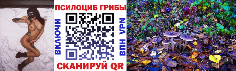 Псилоцибиновые грибы ЛСД  Южно-Сухокумск 
